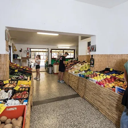 Albatross Mobile Homes On Mare E Pineta 리도 델리 에스텐시